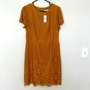 Mustard Loft Lace Dress